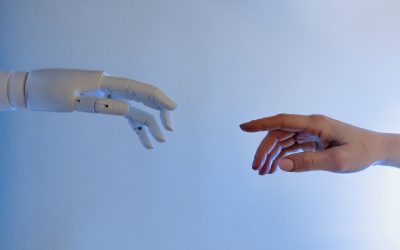 Champagne EPC dope ses ventes grâce à l’intelligence artificielle