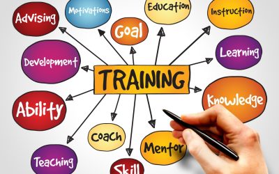 La Formation : Un atout indispensable pour réussir dans le monde professionnel